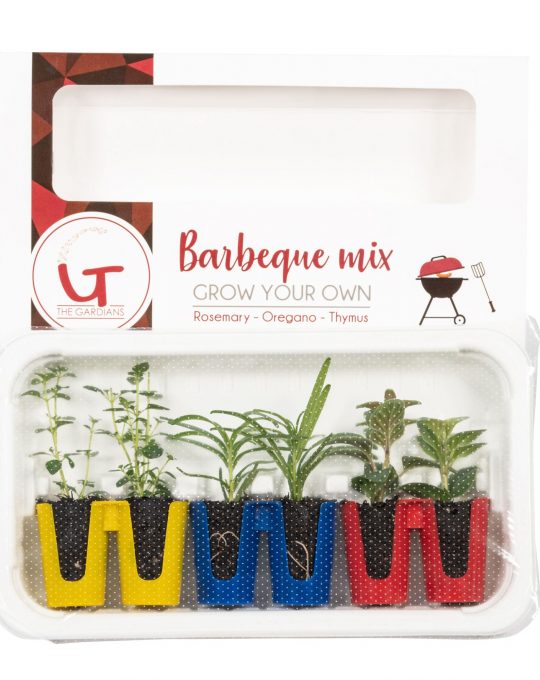 barbeque herbs