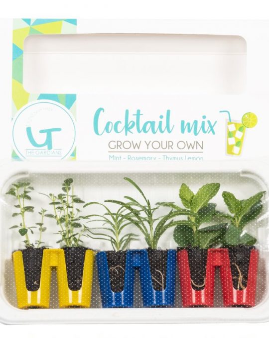 The Gardians Cocktail Mix-Grow Herbs in Your Home-Mint, Rosemary, Lemon Thyme,